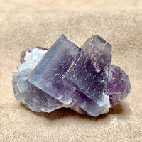 Fluorite and Barite (Fish Stick, Blanchard Mine, Socorro Co., New Mexico)