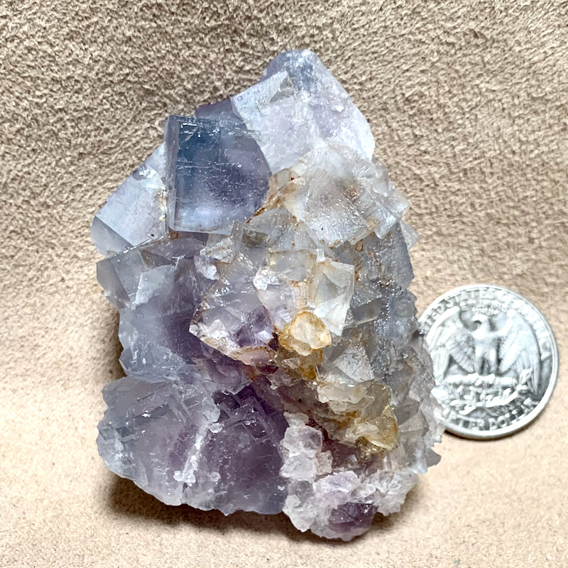 Fluorite (Fish Stick deposit, Blanchard Mine, Socorro Co, New Mexico)