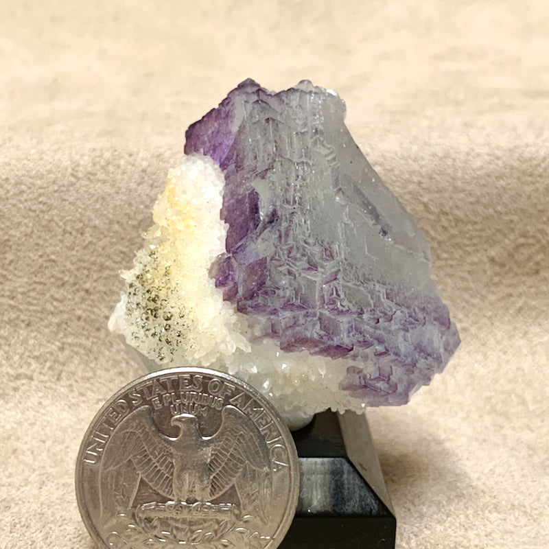 Fluorite and Quartz (Mex-Tex Mine, Socorro Co., New Mexico)