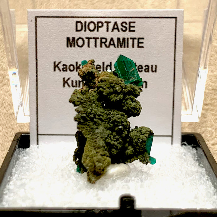 Dioptase and Mottramite (Namibia)
