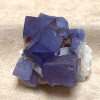 Fluorite with Quartz (Blanchard Mine, Socorro County, New Mexico)