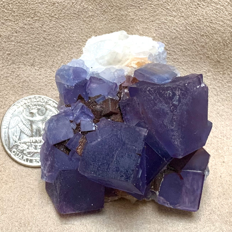 Fluorite with Quartz (Blanchard Mine, Socorro County, New Mexico)