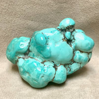 Turquoise Polished "Nugget"