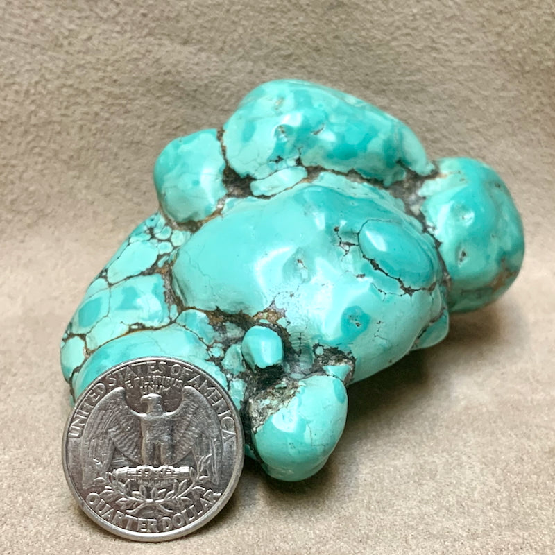 Turquoise Polished "Nugget"