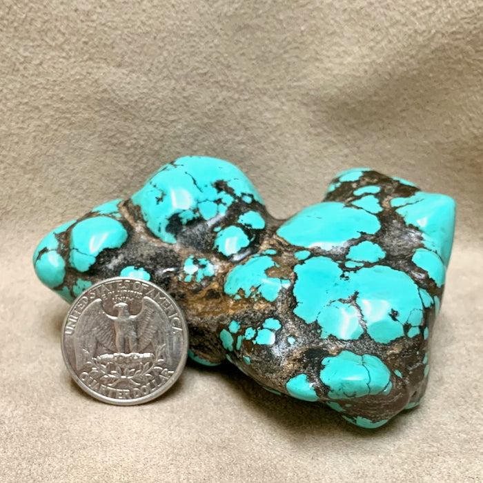 Turquoise Polished "Nugget"