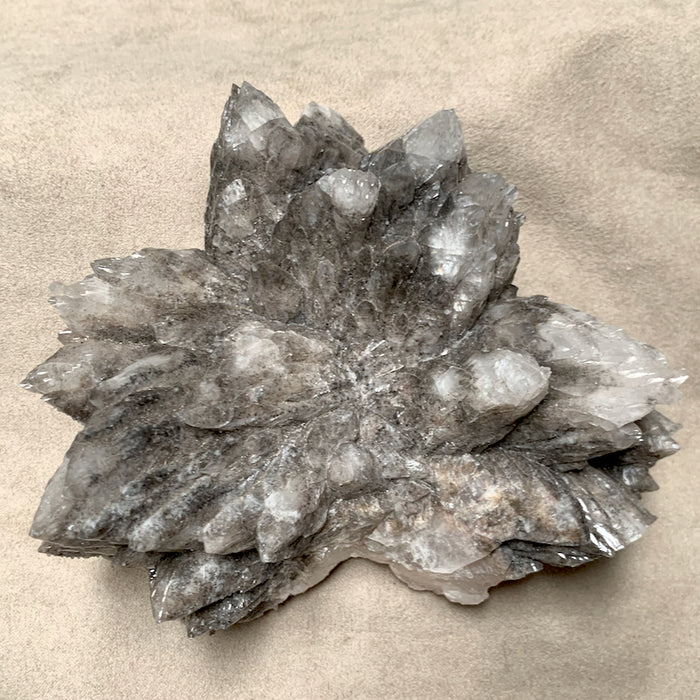 Calcite (Mariposa Dogtooth) with Phantoms (Mexico)