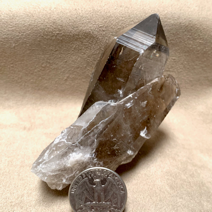 Smoky Quartz Crystal (Lincoln County, New Mexico)