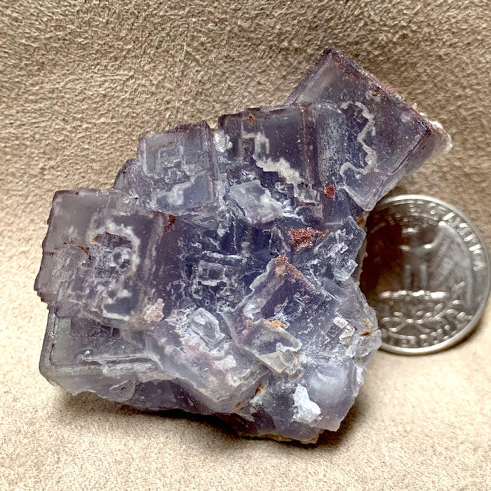 Fluorite (Luna Co., New Mexico)