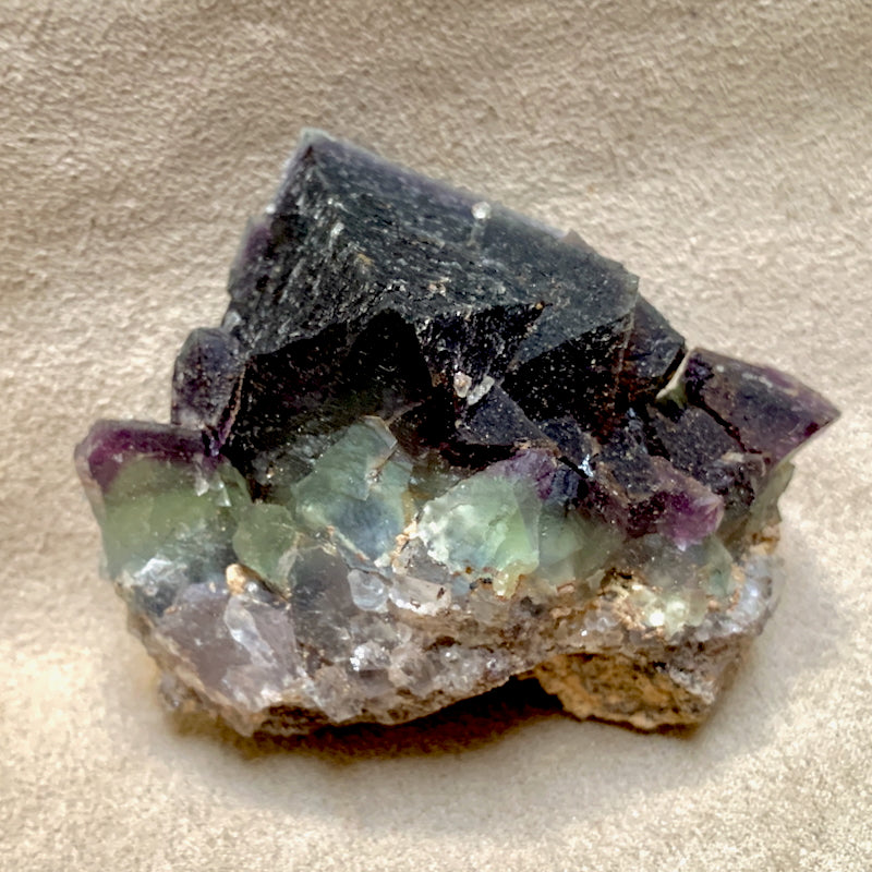 Fluorite (Cooks Peak, Luna Co., New Mexico)