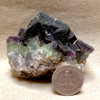 Fluorite (Cooks Peak, Luna Co., New Mexico)